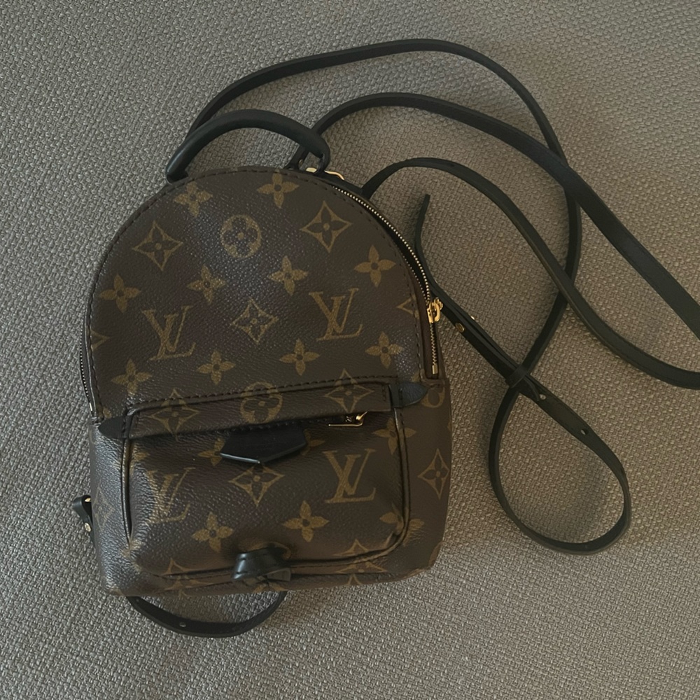 Louis Vuitton Palm Springs Mini Backpack